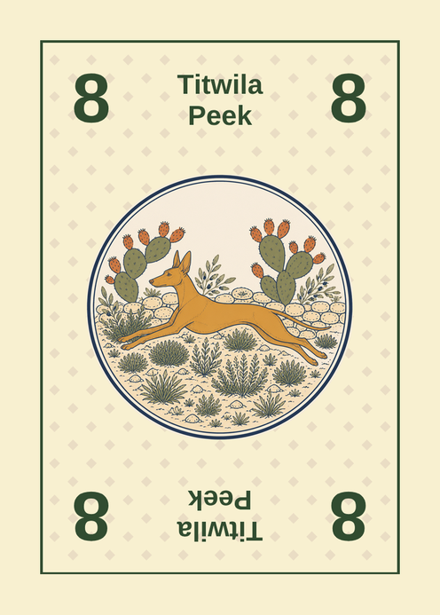 Brakk number 8 card, a Peek power card