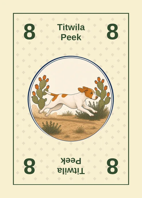 Brakk number 8 card, a Peek power card