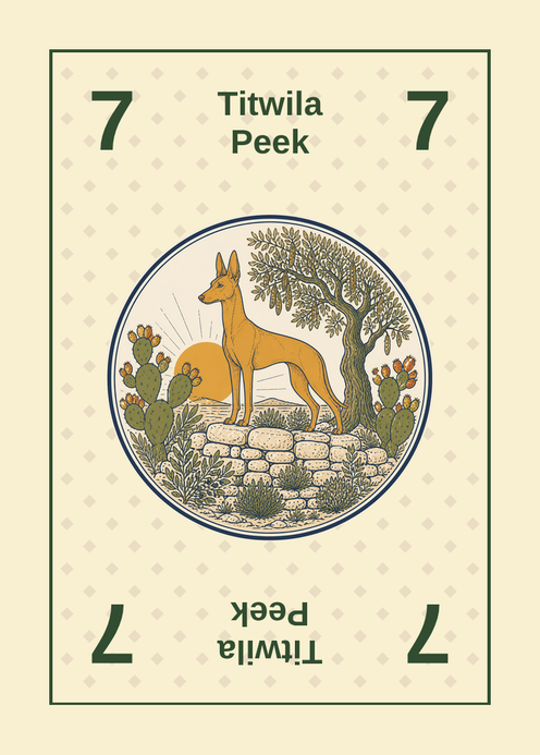 A Brakk number card