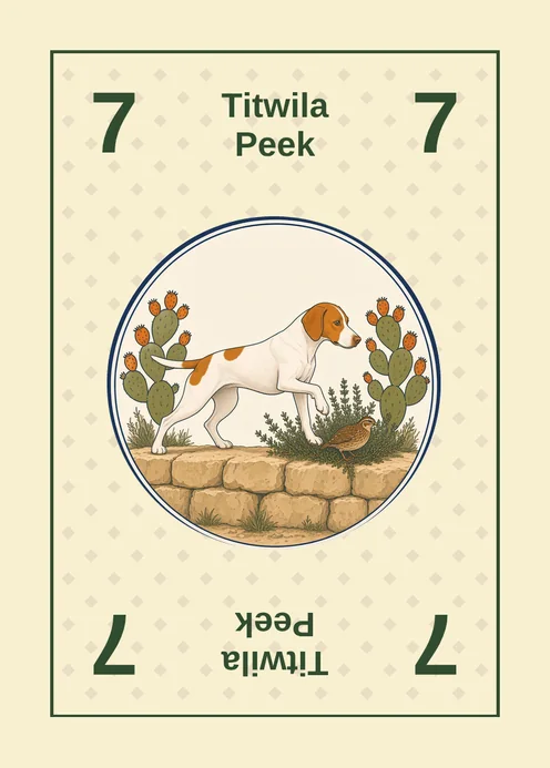 A Brakk number card